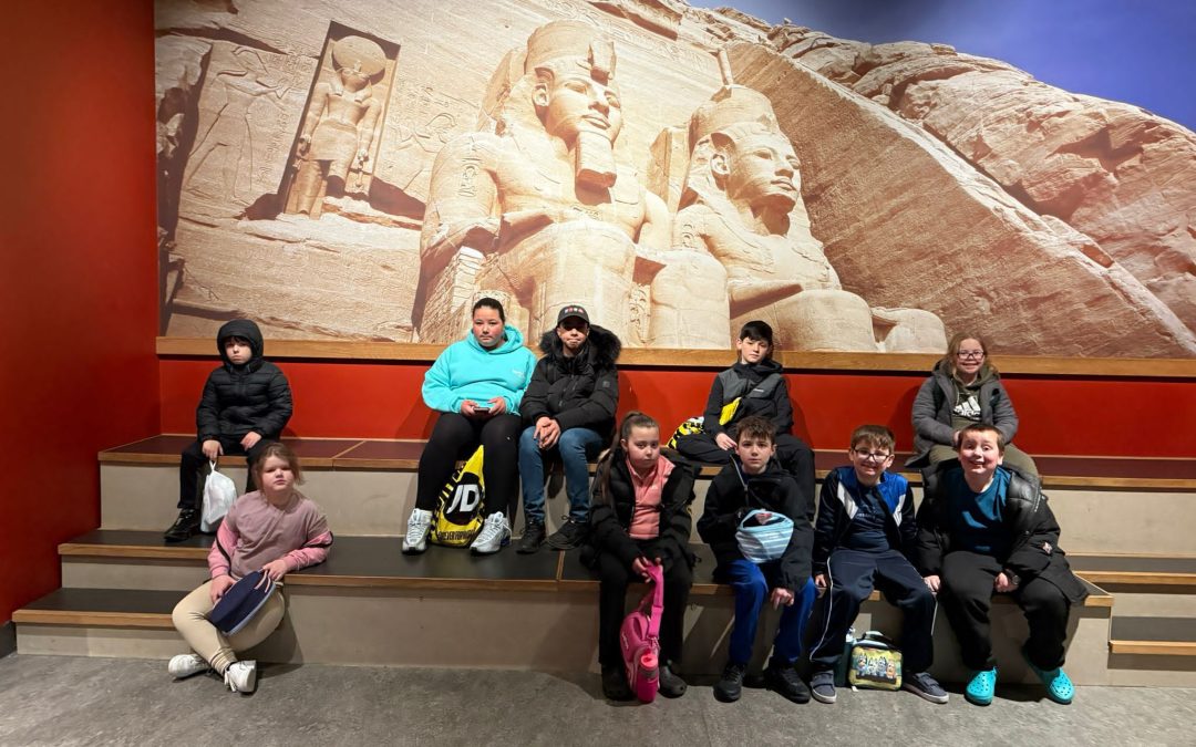 OLLY Update – Liverpool World Museum & Birkenhead Park (4th April 2026)